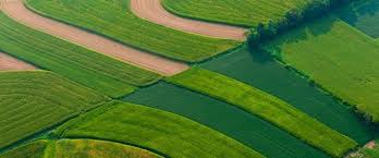 Agricultura din insula mare a brăilei este ridicată la rang de excelenţă. Arabii Vor SÄ Transforme Insula Mare A BrÄilei In Cea Mai Mare FermÄ De LucernÄ Din Lume