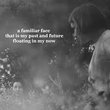 Familiar Face By Mike Wilson Photo By Gatis Murnieks Unsplash Haiku Poems Photo And Video Instagram Photo