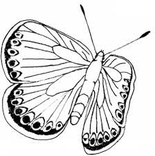Robert lamb the housefly life cycle closely mirrors. Free Butterfly Coloring Pages Printable Butterfly Coloring Page