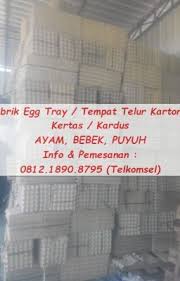 Di gunung kidul, kalau lagi waktunya panen gaplek (singkong) akan melimpah banget. Wattpad Random Supplier Tempat Telur Ayam Kertas Unggulan Gunung Kidul Distributor Karpet Telur Bebek Karton Baru Sleman Agen Rak Telur Kertas Karpet Telur