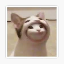 Pop cat meme remix 2021 snow crab rave remix pop cat 3d music animation on fan made crab rave.mp3. Popcat Gifts Merchandise Redbubble