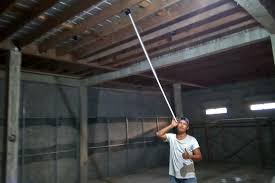 Maybe you would like to learn more about one of these? Anak Walet Gagal Pulang Dunia Walet