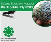 Adi i koloni bsf indonesia. Ebook