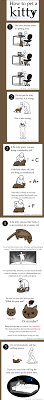 How To Pet A Kitty By Matthew Inman Of The Oatmeal Funny And Insightful Comic For Cat Lovers Crazy Cats Crazy Cat Lady Funny Cats
