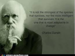 Geneva Payne (gpayne082379)