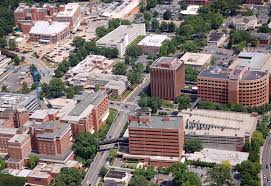 The charlotte eagles send trained missionaries to live in diverse and marginalized neighborhoods in the urban areas as coaches and neighbors to fulfill our mission to love, disciple, and empower youth. Elizabeth Charlotte Neighborhood Wikipedia