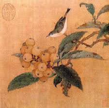 Nespolo Comune Mespilus Germanica Nespolo Del Giappone Eriobotrya Japonica Arte Asiatica Schema Artistico Dipingere Idee