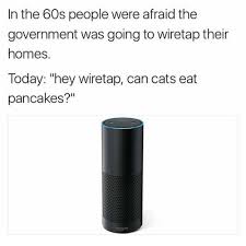 This brings up a question: In The 60s People Were Afraid The Government Was Going To Wiretap Their Homes Today Hey Wiretap Can Cats Eat Pancakes Hey Meme On Me Me