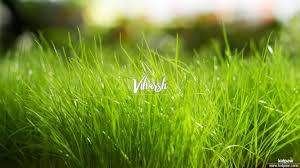 Meaning and definitions of tennis, translation of tennis in marathi language with similar and opposite words. à¤µ à¤¹à¤° à¤· Viharsh Name Meaning In Hindi Viharsh Luck Number Rashi Latest Indian Baby Boy Names