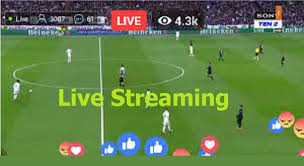 Bundesliga 2021/2022 live scores on flashscore.com offer livescore, results, 2. Magdeburg Vs Heidenheim Live Streaming Germany 2 Bundesliga Digi Sport 2 Sky Bundesliga Tv Online Sports Workers Helpline