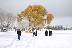 Choose from 500 different sets of flashcards about el invierno on quizlet. Mexico En Invierno Turismo Org