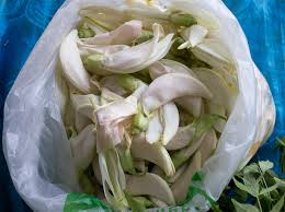 Image result for Craibia grandiflora