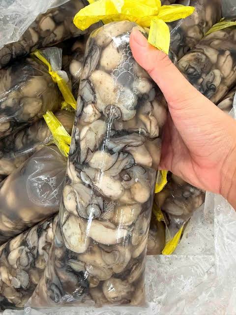 Hàu Bịch 1KG
