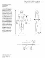 Uploaded by dessie orn i from public domain that can find it from google or other search engine and it's posted under topic kaplan medical coloring book. Kaplan Anatomy Coloring Book Chapter One Introduction Anatomical Position And Terms Of Direction When Studying The Human Body It Is Important To Place Course Hero