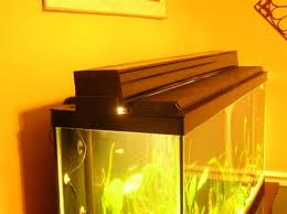 I need simple, cheap, lay on the top lids for some of my uncapped aquariums. Diy Acrylic Hood Lots Of Pics And Words Aquariacentral Com