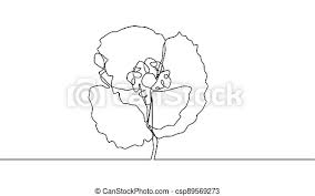 Holly is the name of a plant, while poppy is the name of a flower. Poppy Flower Line Art Minimalist Contour Drawing One Line Artwork Canstock