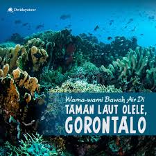 Olele cukup dikenal orang gorontalo dengan taman laut yang termasuk kawasan konservasi. Dwidayatour Keindahan Laut Yang Dimiliki Indonesia Gak Facebook