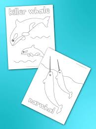 Some sperm whale coloring may be available for free. 7 Awesome Whale Coloring Pages For Kids