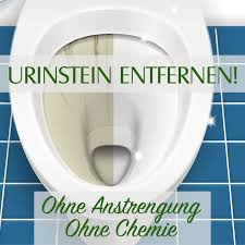 Urinstein Entfernen Urin Kuche Putzen Haushalts Tipps