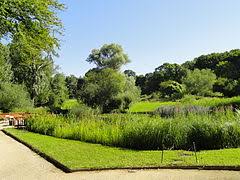 Geht mit uns auf eine kleine reise in die geschichte des. Botanischer Garten Frankfurt Am Main Wikipedia