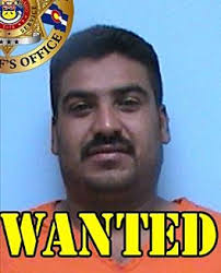 Montrose Most Wanted: Domestic Violence, Vehicular Assault, Drugs