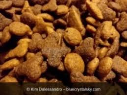 I wouldn't give aldi's brand of food to your cat. Review Of Aldi Dry Cat Food Heart To Tail Blue Crystal Sky