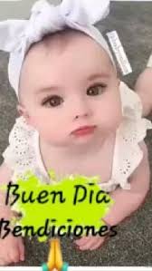 17 ideas de flori para guardar hoy