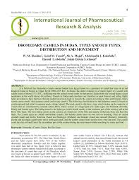 Camel is a unique and fascinating beast. Pdf Dromedary Camels In Sudan Types And Sub Types Distribution And Movement