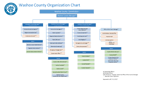 organization chart