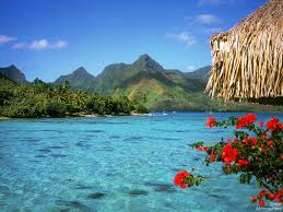 Shop for safavieh tulum bora moroccan boho rug. Amazing Summer View Bora Bora Great Atmosphere