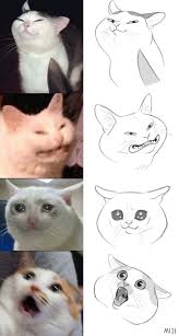 Pin By Airsin Mantana On Pose Expression Cute Drawings Cat Drawing Animal Drawings