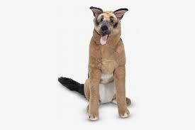 Stuffed animals are one of the classics of the toy business. 12 Best Giant Stuffed Animals 2019 The Strategist