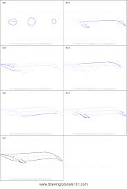 Then draw a fin and tail. How To Draw A Blue Whale Printable Step By Step Drawing Sheet Drawingtutorials101 Com