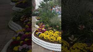 Jenis bunga untuk taman harus anda perhatikan cara membuat taman di rumah agar taman yang anda buuat akan tampil indah. Taman Bunga Paling Indah Di Korea Youtube