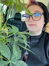 Is it a Chinese money tree?