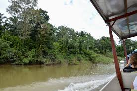 Entrance fee to taman negara national park. Como Ir De Kl A Taman Negara Info Malasia 2020