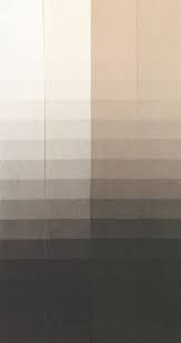 Erin L. Murphy, “Overview of Historical Practices for Postprocessing Toning  and Intensifying Platinum Prints,” in Platinum