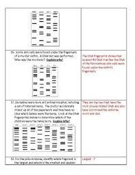 Dna analysis os answer key. Forensic Dna Fingerprinting Test By Schilly Science Tpt
