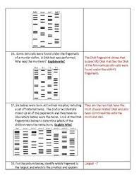 Dna analysis os answer key. Forensic Dna Fingerprinting Test By Schilly Science Tpt