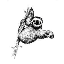 Blanco y negro grabar ilustración vectorial pereza aislada. Oso Perezoso Animal De Poder