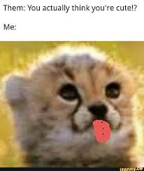 Themvsme Memes Best Collection Of Funny Themvsme Pictures On Ifunny Brazil
