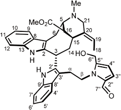 Image result for Voacanga pachyceras
