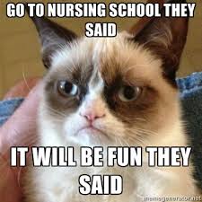 Humor Grumpy Cat Takes On Nurses Scrubs The Leading Lifestyle Magazine For The Healthcare Community