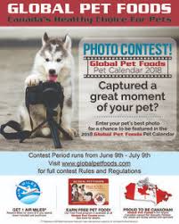 Dog supplies, cat supplies, fish supplies, reptile supplies Global Pet Foods Globalpetfoods Profile Pinterest