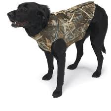 Browning Neoprene Dog Vest Size Chart Best Picture Of