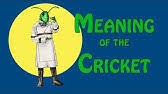 Maybe you would like to learn more about one of these? Cricket Meaning Youtube