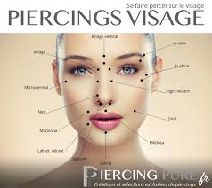 Pin By Denimfox On Piercings In 2019 Facial Piercings