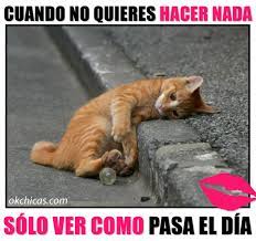 20 Imagenes Que Solo Entenderas Si Eres Una Mujer Introvertida Meme Banquetas Y Naranja