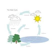 Water Cycle Diagram Water Cycle Water Cycle Diagram Cycle Drawing