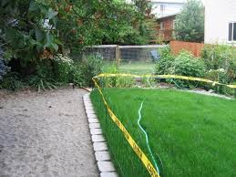 A Seattle Dog Friendly Garden Design Dog Friendly Backyard Dog Friendly Garden Dog Garden